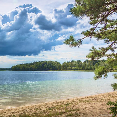 зображення Шацькі